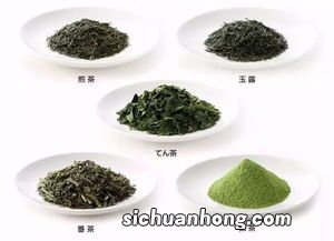 煎茶用的什么茶