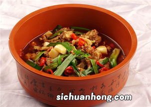 狗肉煮什么最好