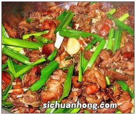 狗肉跟什么煮好吃吗