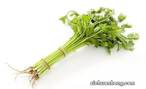 芹菜可以放多久