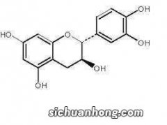 儿茶素有什么用