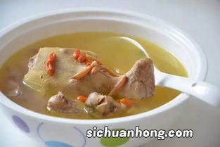 鸽子还可以炖什么好处