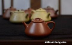 大口壶适合泡什么茶