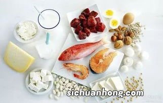 高蛋白有营养的食物是什么