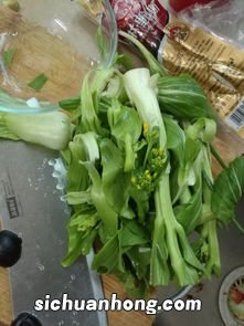 刚怀孕的吃什么青菜好