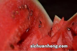 刚骨折可以吃什么水果好