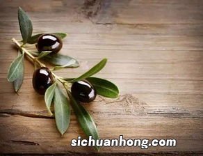 橄榄泡白醋有什么功效