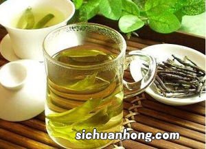 运动可以喝什么茶