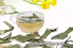 用何叶泡茶有什么好处