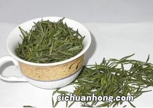 为什么安吉白茶为白色