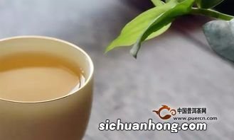 什么体质的人容易醉茶