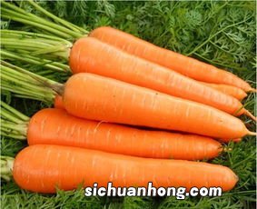 微锅炉把萝卜和胡萝卜做熟要多久