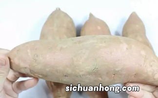 新鲜红薯放多久会甜