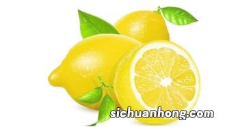 菠菜汁可以放多久