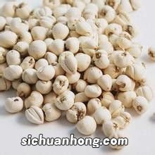 肺腐烂吃什么食物好