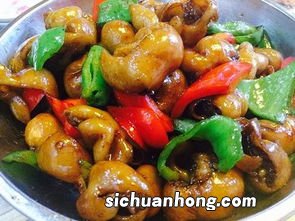 肥肠适合和什么炒
