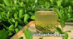 贵州四大名茶是什么