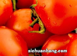 番茄与什么不能一起吃吗