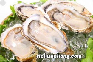 带壳新鲜生蚝怎么存放