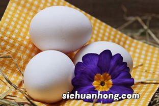 发烧感冒能吃什么食物好