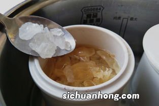 冰糖雪耳炖花胶要泡多久