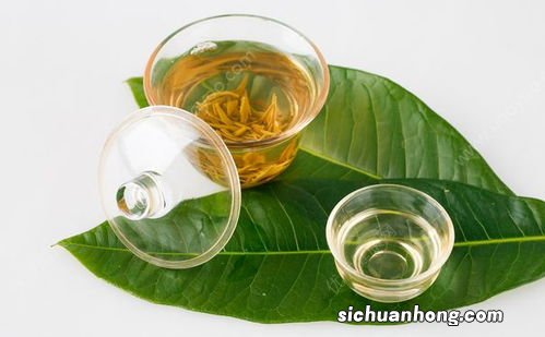 茶水不能与什么一起吃