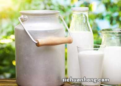 儿童早餐牛奶配什么好