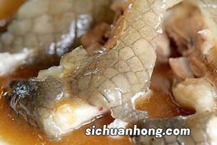 鳄鱼干炖什么功效