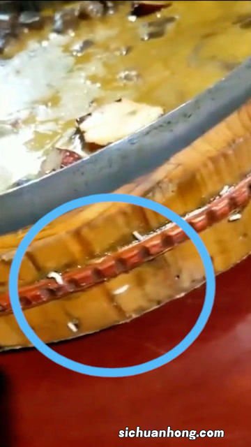 恶心呕吐可以吃什么菜