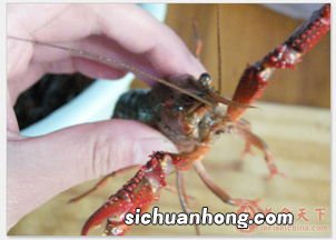 大龙虾的头和壳怎么做好吃