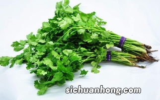 大量芫荽怎么保存