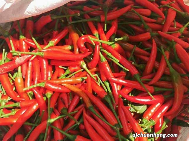 大量小米椒怎么保存方法