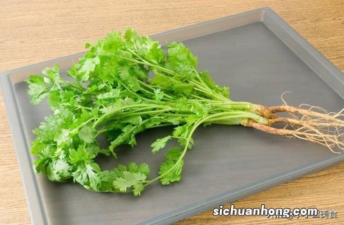 大量香菜怎么吃