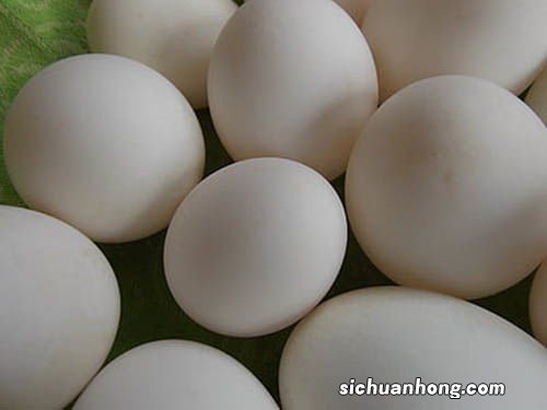 鹅蛋 不能和什么一起吃吗