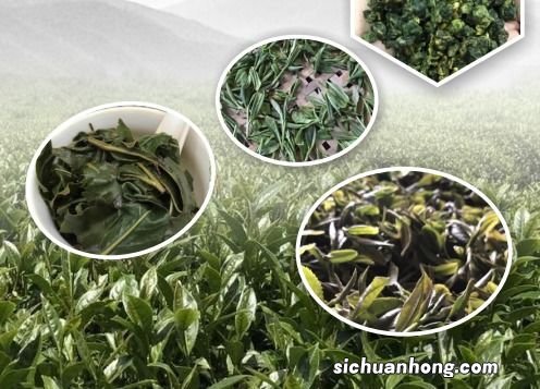 云南大理什么茶好