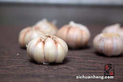 大蒜没发芽怎么办