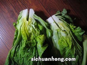 大青菜做酸菜怎么做