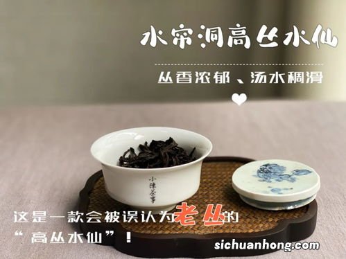 百年老丛属于什么茶