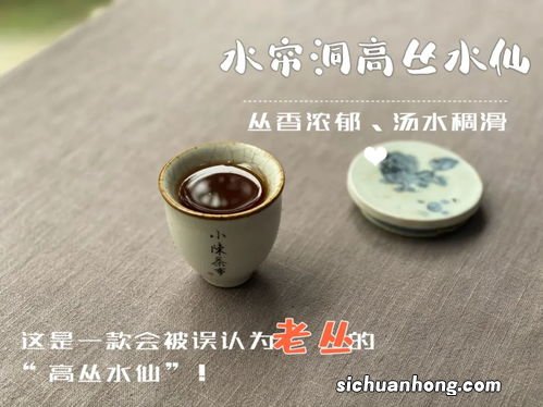 百年老丛属于什么茶