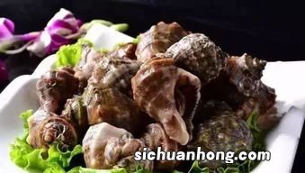 海螺要煮多久为宜