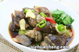 海螺要煮多久为宜