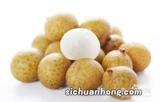 儿童吃什么水果补气血