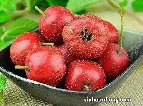 多吃山楂片有什么好吗