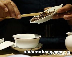 用盖碗喝什么茶