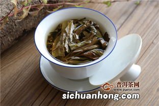 星星叶是什么茶