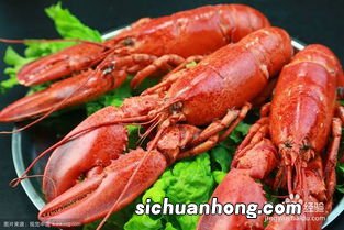 大个龙虾怎么做好吃吗