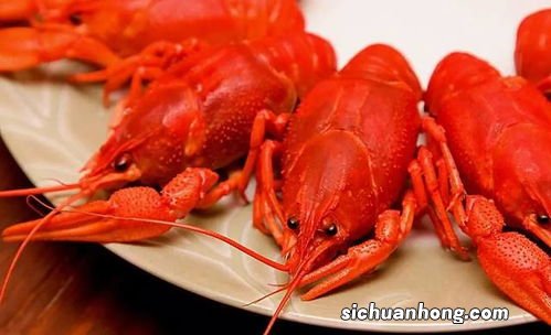 大个龙虾头怎么吃