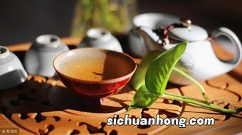 条茶是什么意思是什么意思是什么