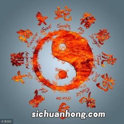 食荼卧棘形容什么生肖