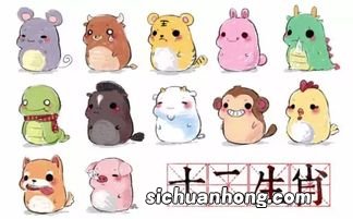 食荼卧棘形容什么生肖